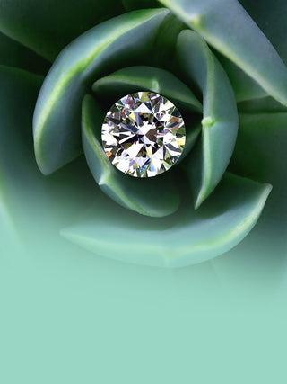 Sustainbility diamond mobile phone photograph.