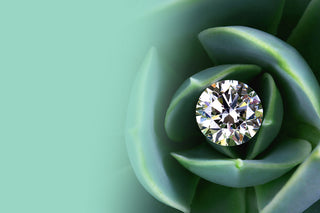 Sustainbility diamond photograph.